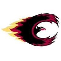 Citadel High Council (@chs_council_) 's Twitter Profile