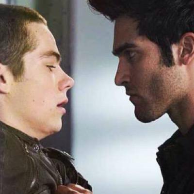 Sterek shipper