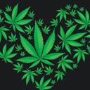 Abimael Lopez Solano - @SolanoAbimael - Twitter