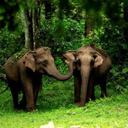 Reena Mathew - @reenmath - Twitter