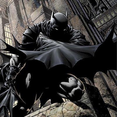 I don't kill, but I do break bones, Night after night I look out for the city after my parents death, I keep the city safe, It's all about Justice.
