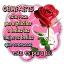 Sandy Meneses - @22e2f6391d2847e - Twitter