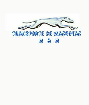 Empresa especializada en el transporte de mascotas ofrece sus servicios. Transportamos perros,gatos,hurones... 5 años de experiencia nos avalan.