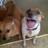 benji_hayes's profile image