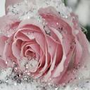 Tracy Thorn - @tthorn7933 - Twitter