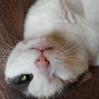 Joanne E. McCreery (@jemccreery) 's Twitter Profile Photo Joanne E. McCreery (@jemccreery) 's Twitter Profile Photo
