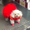 Hope Reimer - @HopeinAsia - Twitter