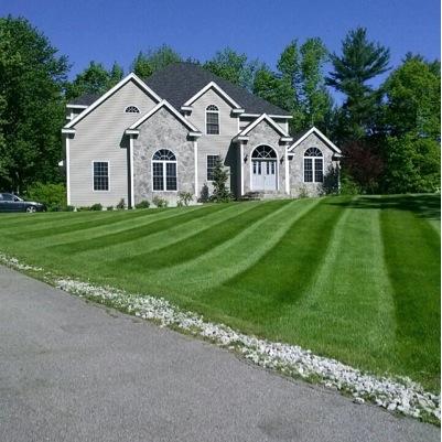 NPLandscape's profile picture. 