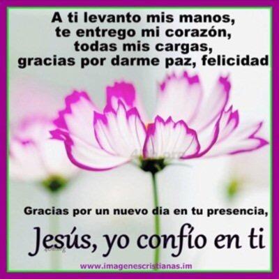 FernandoVsanch1's profile picture. 