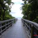 Kim Boren - @4kimber2u - Twitter