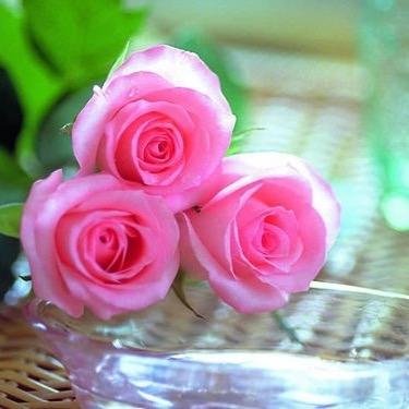 alfahme1's profile picture. هذا الحساب صدقة جارية لأخي : حافظ زميم .. 
اذا مريت ادعي له 💜🌹 ..