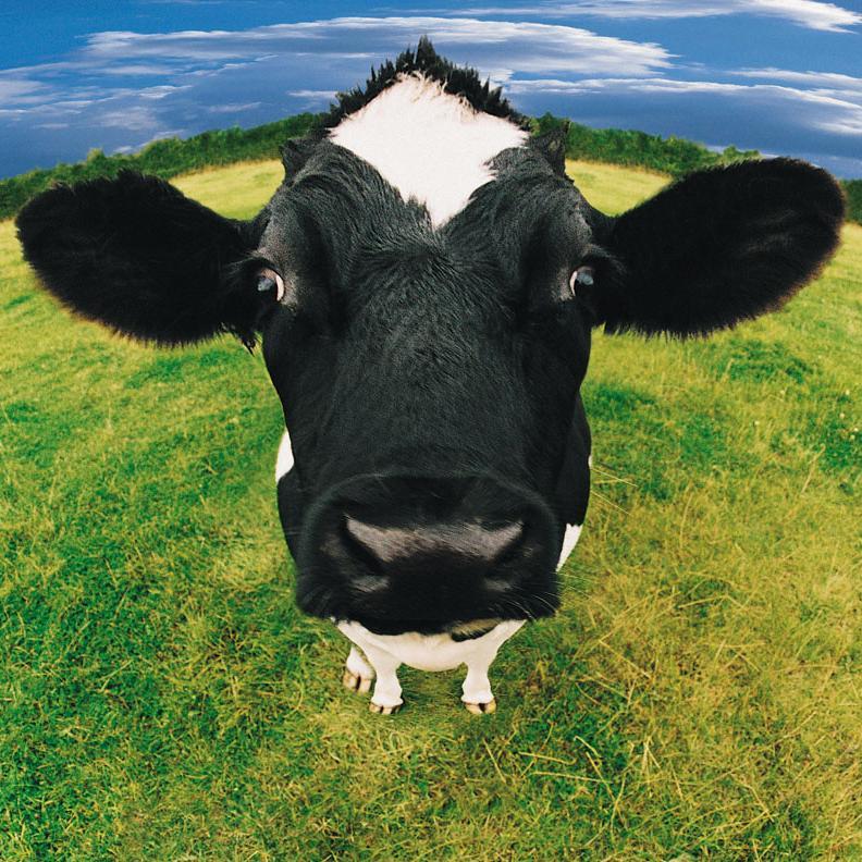 Sales @ Lely Centre Woodstock