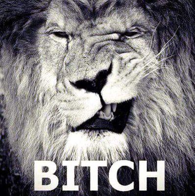 guilmour84's profile picture. 