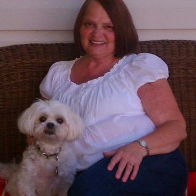 mjomcclellan's profile picture. 