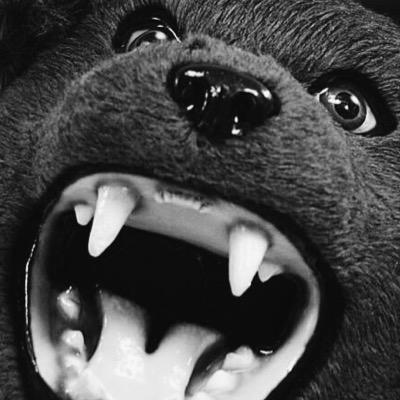 bhs_seniorprank's profile picture. 