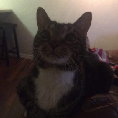 syddepaul's profile picture. when im eating the whole team is fed