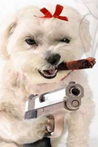 Woof. I'm an evil puppy. Piss me off and i'll bite you.