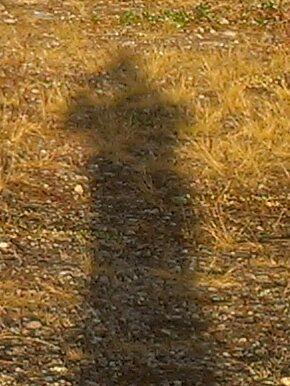gerdog_1's profile picture. 