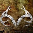 damien hunter haycoo - @damien31408 - Twitter