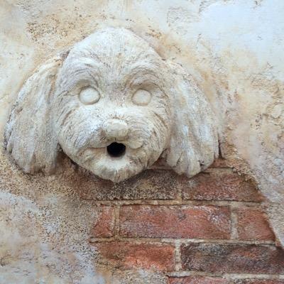 decowall1's profile picture. 空間を自由にデザイン！普通の外構工事以外にもモルタル造形を使った素敵なお庭を施工します。住宅や店舗のご相談お待ちしております。仕事にしたいというプロ希望の方も受付中！ ジブリの様な森のカフェもあるよ！→https://t.co/5yC0EVb2BH tel028-666-8233