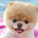 Bill Steele - @Billydvs1 - Twitter