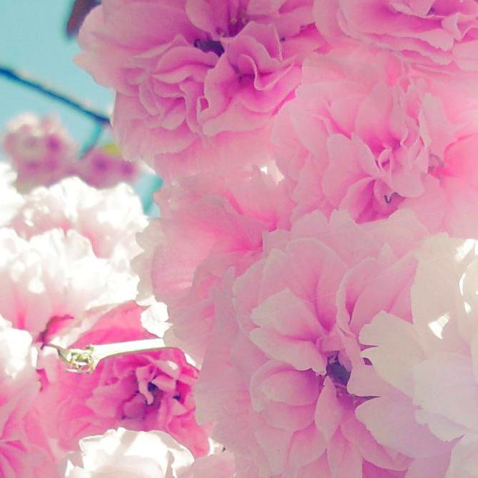 _Sara_Louise_'s profile picture. 