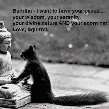 saintlucja's profile picture. A New Adventure