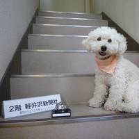 軽井沢新聞社 (@vignette01) Twitter profile photo