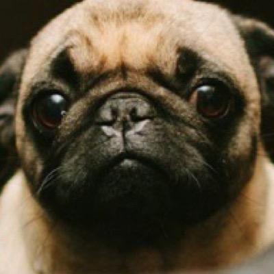 TaliciaTf05's profile picture. 