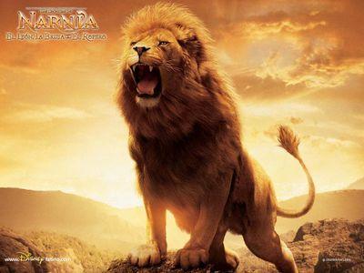 I am nagesh and I am from Banglore
always bee happy in life
& healthy