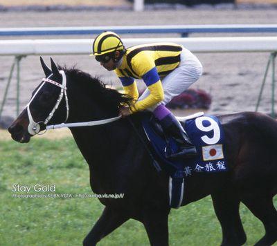 umaloveaca's profile picture. 競馬好き。競馬はデータ派。競馬はロマン。ステゴ好き。
元中華料理人。