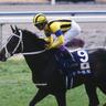 umaloveaca's profile picture. 競馬好き。競馬はデータ派。競馬はロマン。ステゴ好き。
元中華料理人。