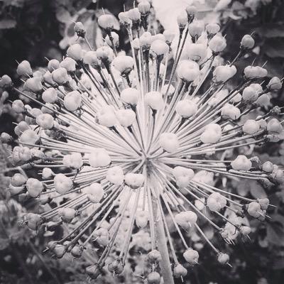 sanneoehlers's profile picture. Student International Refugee & Migration Law. MSc in European Governance, MA in Public Administration & Politics and LL.B. Also interested in climate change!