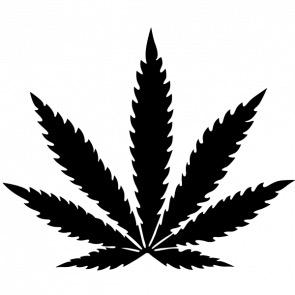 Crazy Stories About What People Did While High DM Me Your Stories or Send them in to http://t.co/5idcvIbzWL