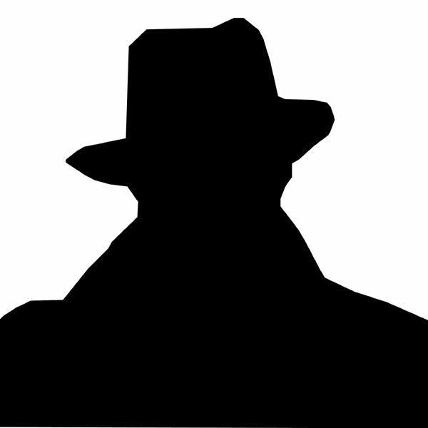 StealthReports's profile picture. We report, you follow. Support the Stealth Reporter.