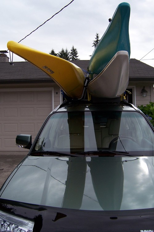 olykelly's profile picture. Professor, book worm, PhD candidate at EU, cat lover, axe thrower, and diet coke champion!