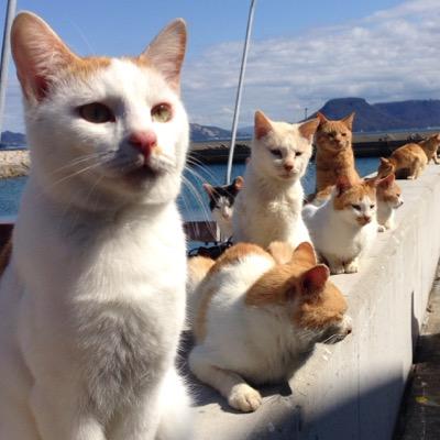 もきちさんのプロフィール画像