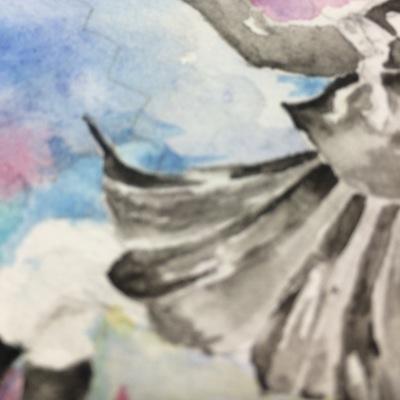 もけさんのプロフィール画像