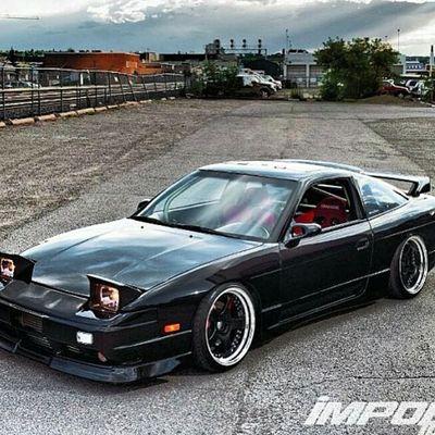 Zenki 🌴