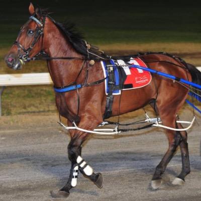 Brocq Robertson