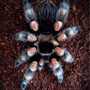 Ken Holman - @kendoo_ken - Twitter