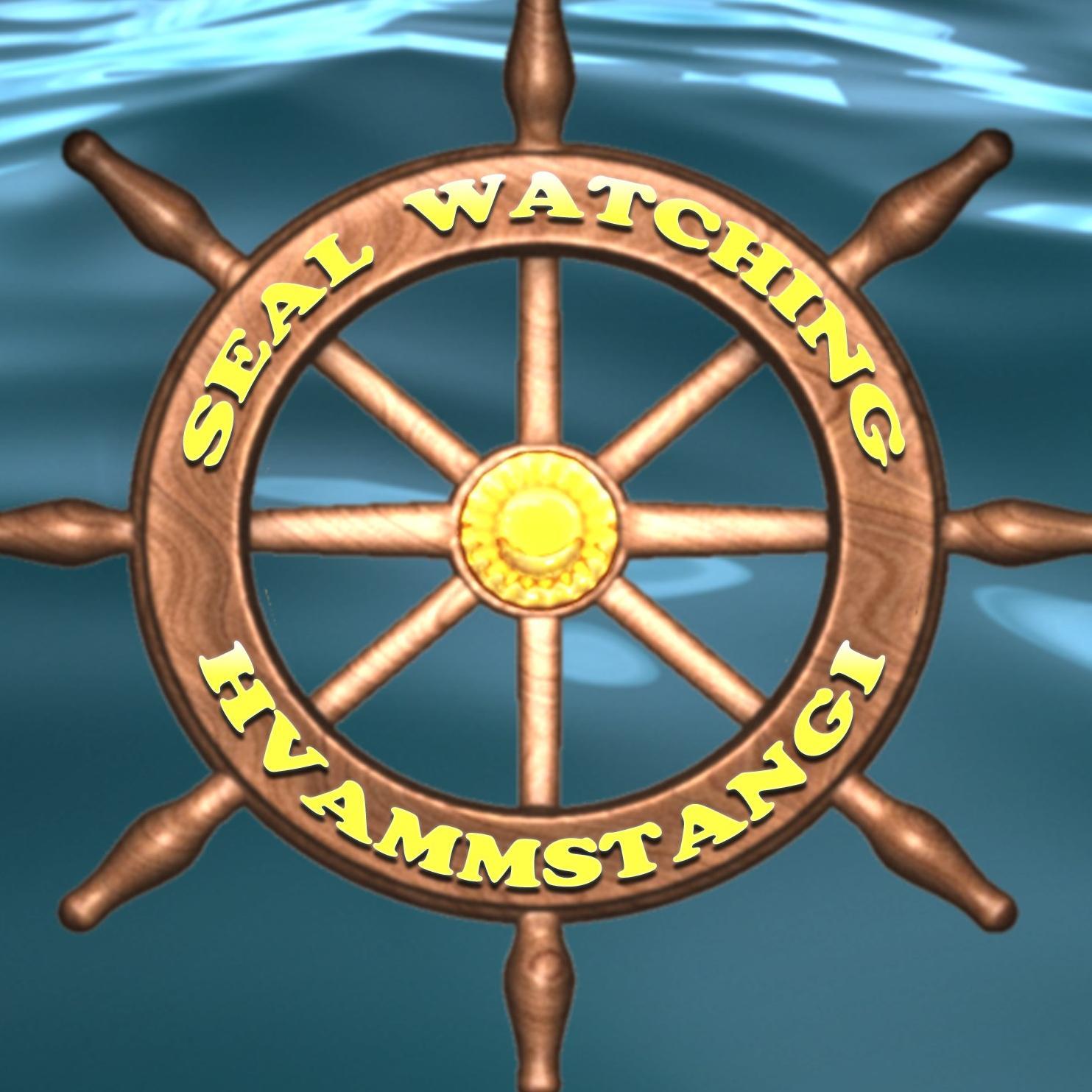 seal_watching's profile picture. Sealwatching from Sea in Hvammstangi, only 2 hrs. north from Reykjavik. All summer long and 3 Tours per day, an unique experience in the Icelandic Nature!