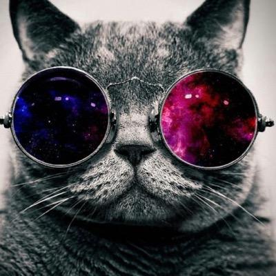 Broarmy01331429's profile picture. Posting things i think is funny af
 follow for followback