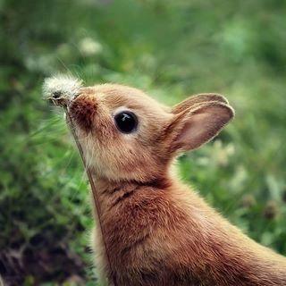 ２０↑四機捜の彼らが好きです。フォロリクありがとうございます、恥ずかしいのでROM専です。ごめんなさい。