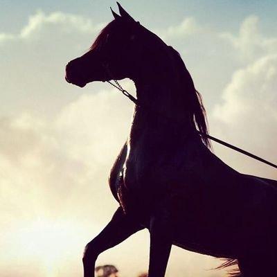 ‏‏أُحبك ، وكفاني الله وإيّاك شرَّ الفراق ..!