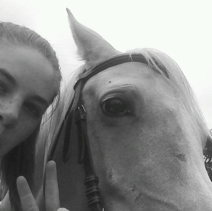 Niall is love Horses are life [] follow me on insta Mashika_n_Brocky1423 [] this could get interesting?! xx