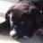 tucker_jacinta's profile image