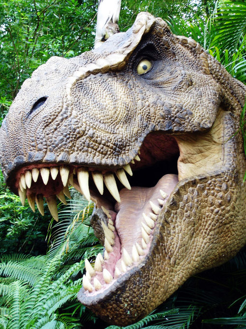 leandroseverino's profile picture. Se fueron. No es suficiente. Muchos tienen que estar presos. Sobre todo el NeoMadrileño