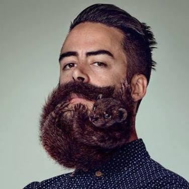 MounirdeLiege's profile picture. Un mec du ter ter