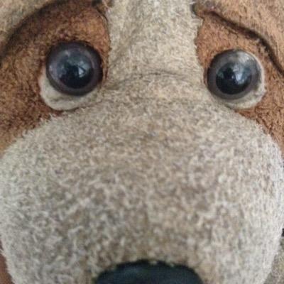 patchlovinlife Profile Picture